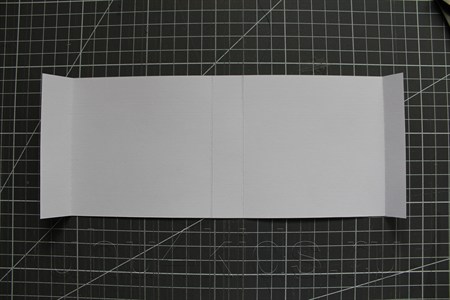 ���������-�������� �� �������